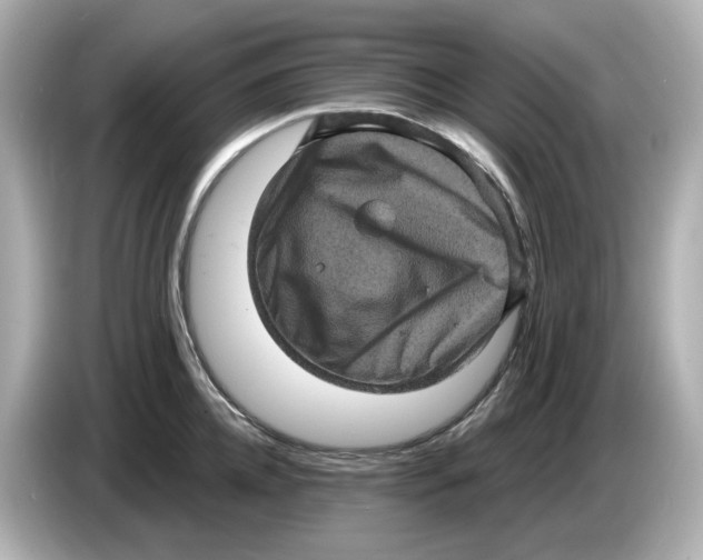 X0000085760952200704091332