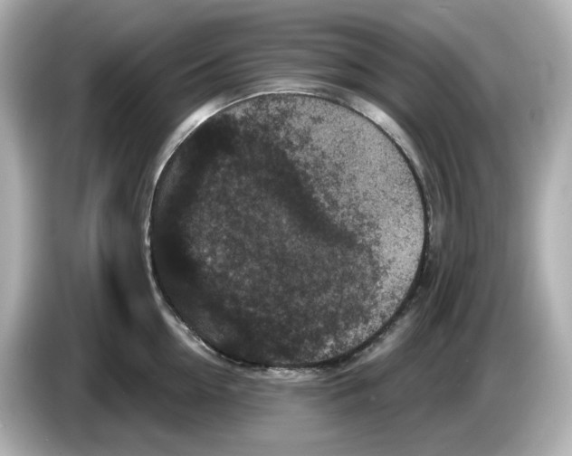 X0000085760954200704091332