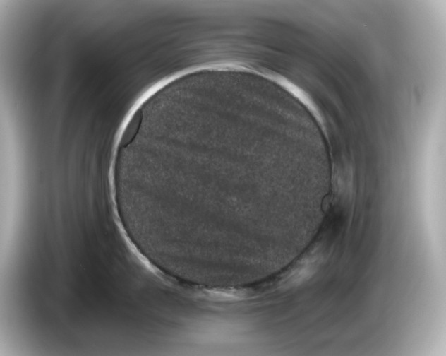 X0000085760959200704091332