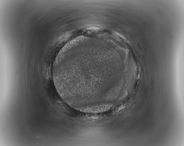 X0000085760965200704091331