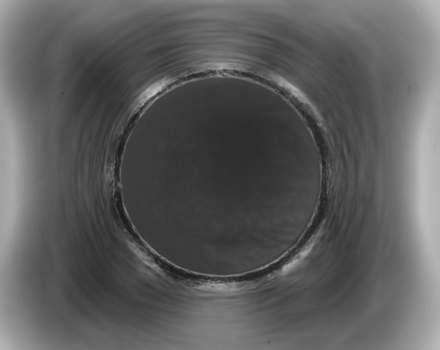X0000085760977200704091331