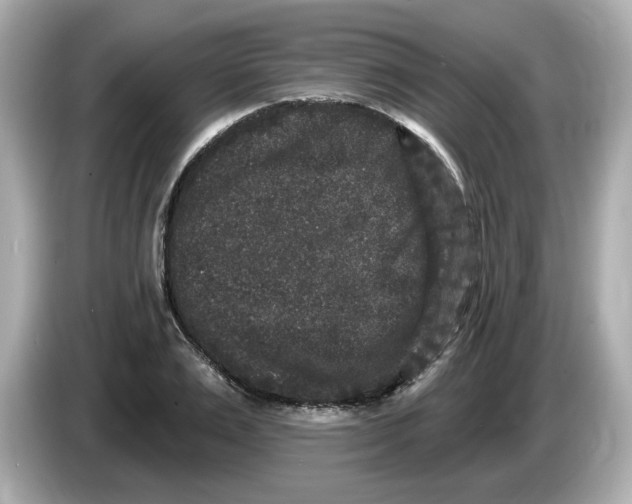 X0000085760983200704091331