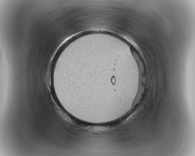 X0000085760984200704091331