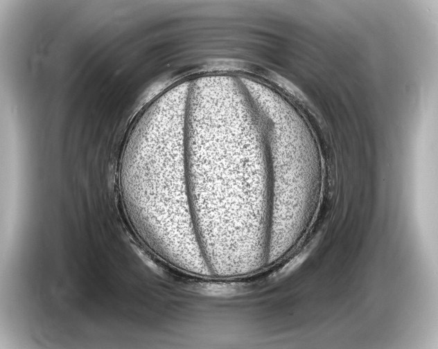 X0000085760985200704091331