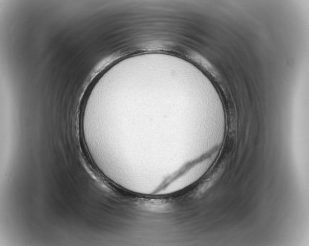 X0000085760986200704091331