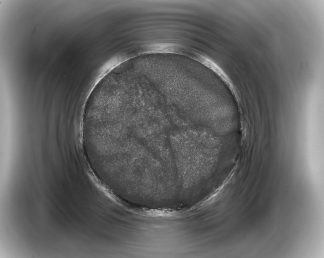 X0000085760994200704091331