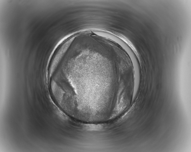 X0000085760996200704091331