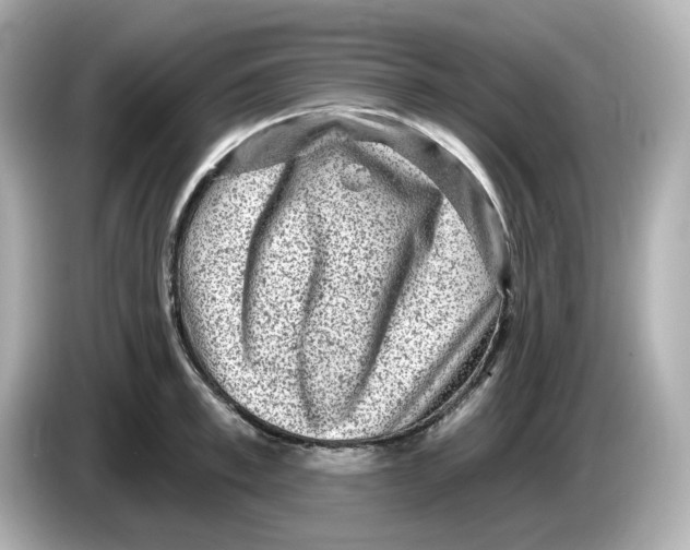X0000085760997200704091331