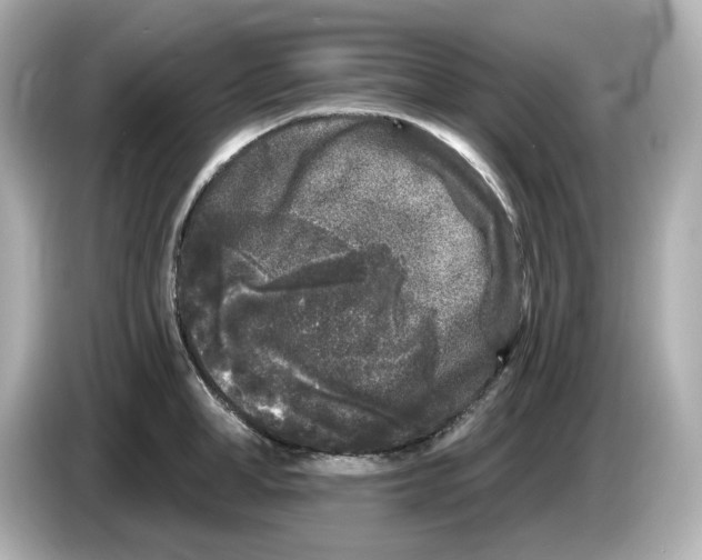 X0000085760998200704091331