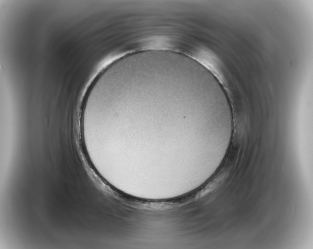 X0000085761000200704091331