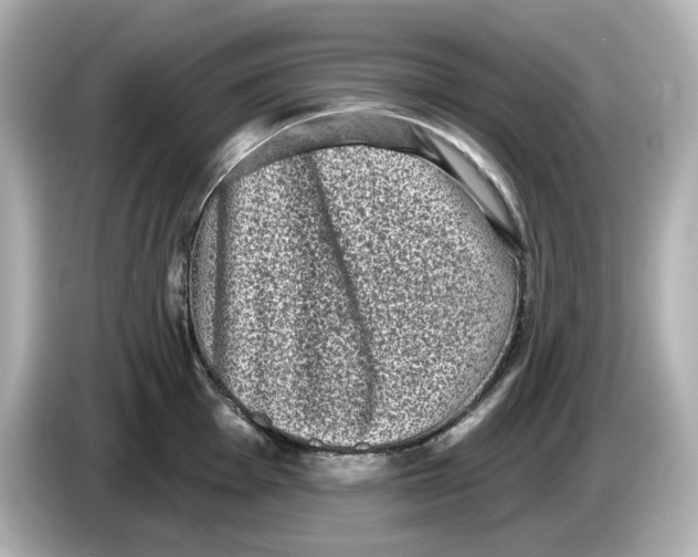 X0000085761001200704091331