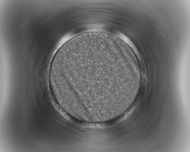 X0000085761002200704091331