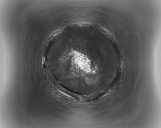 X0000085761014200704091330