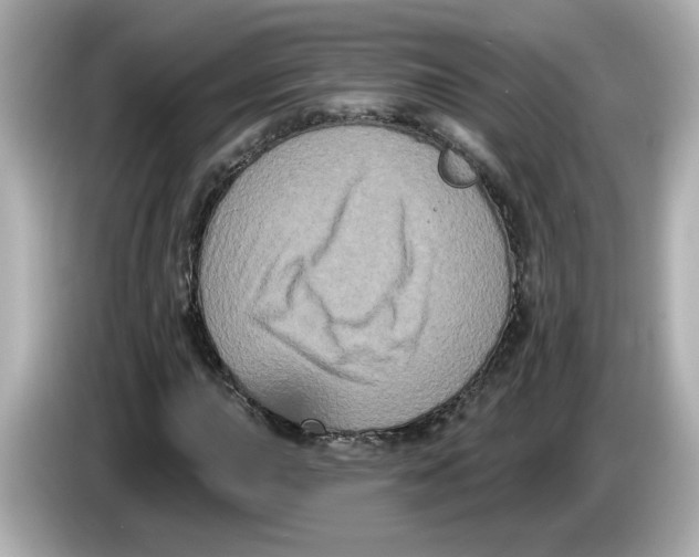 X0000085761015200704091330