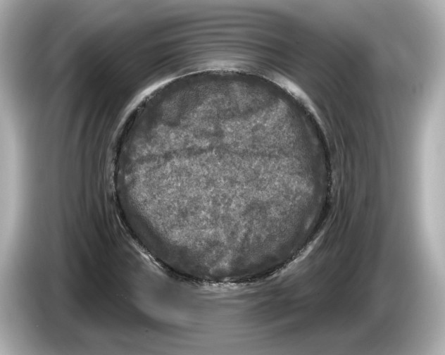 X0000085761019200704091330