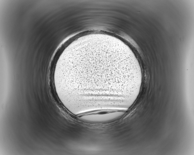 X0000085761020200704091330