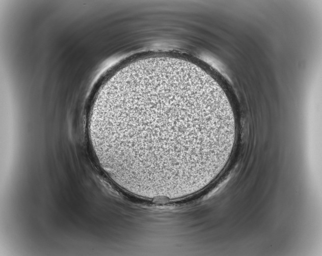 X0000085761021200704091330