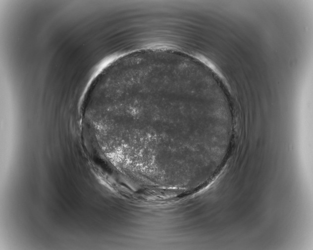 X0000085761022200704091330