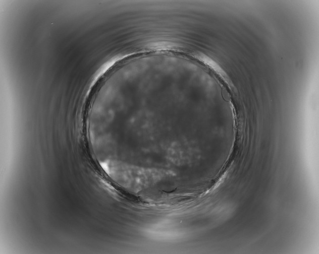 X0000085761023200704091330