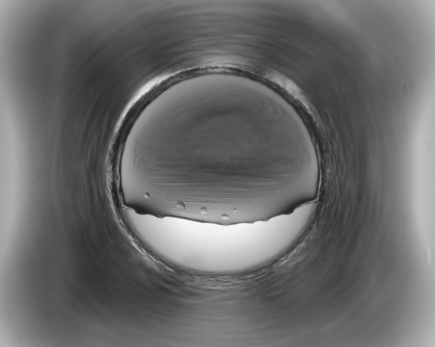 X0000085761024200704091330