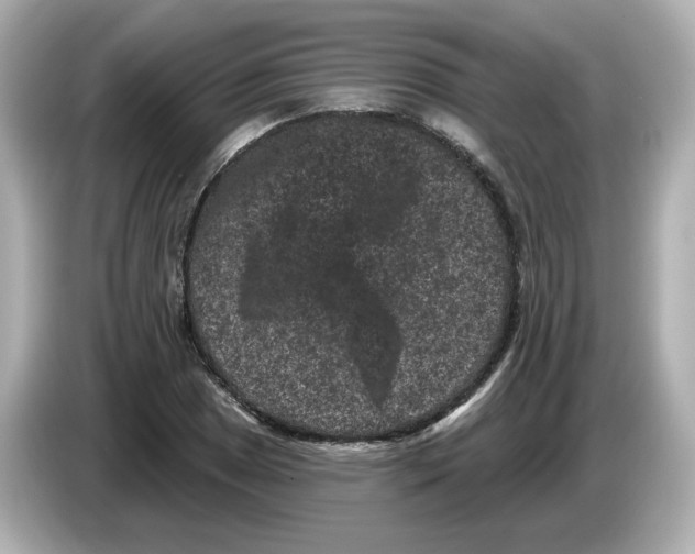 X0000085761025200704091330
