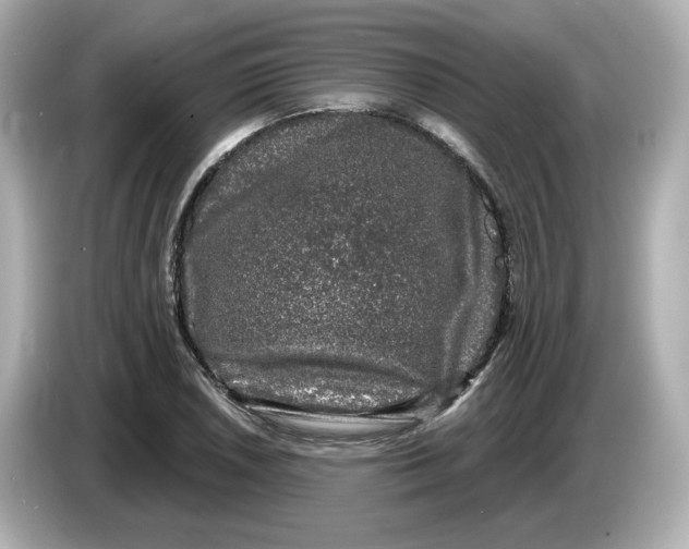 X0000085761026200704091330