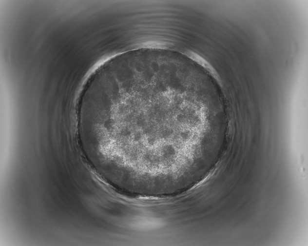 X0000085761027200704091330