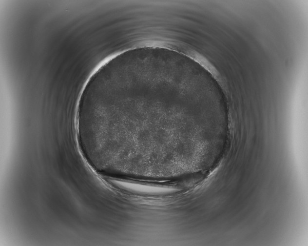 X0000085761028200704091330