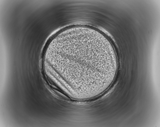 X0000085761029200704091330