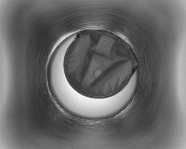 X0000085761030200704091330