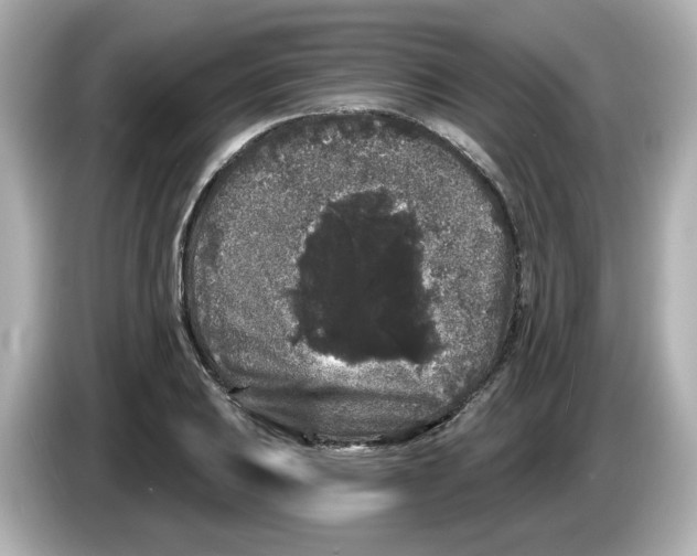 X0000085761031200704091330