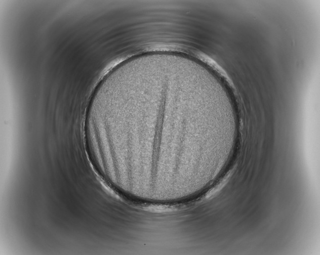 X0000085761033200704091330
