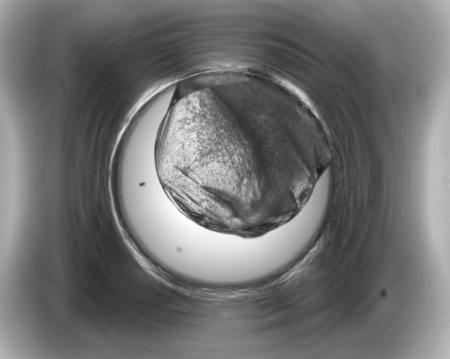 X0000085761034200704091330