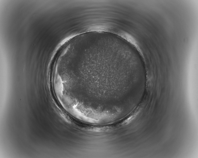 X0000085761035200704091330