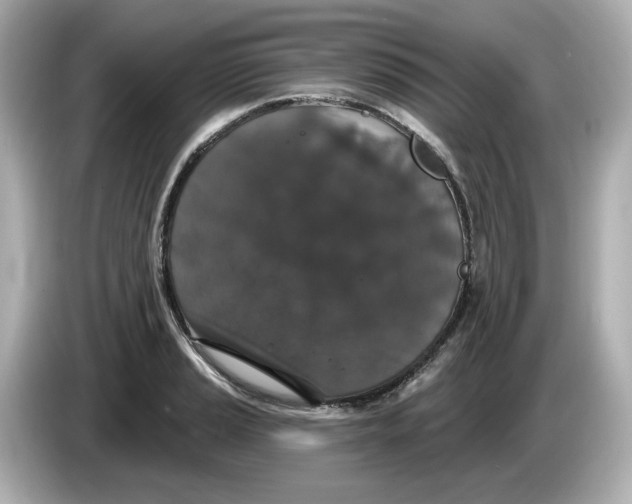 X0000085761037200704091330