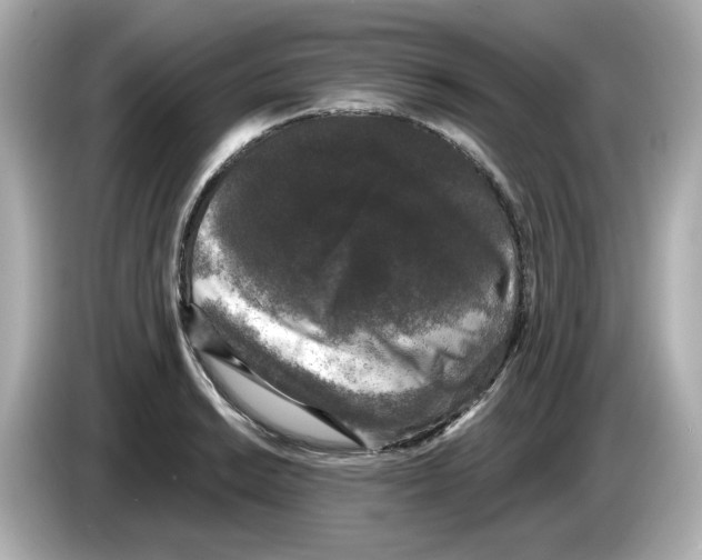 X0000085761038200704091330