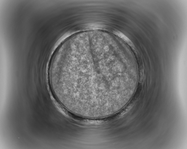 X0000085761039200704091330