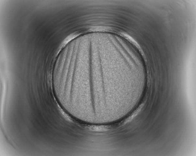 X0000085761041200704091330