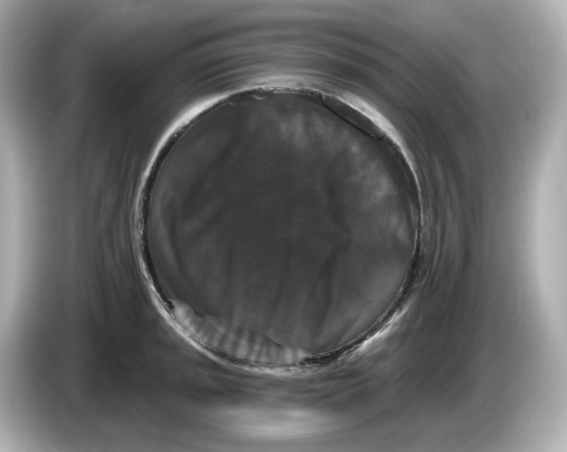 X0000085761045200704091330