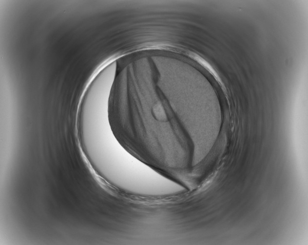 X0000085761050200704091331