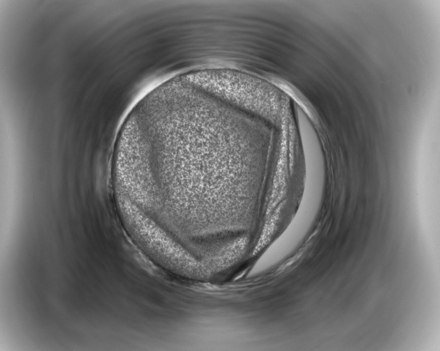 X0000085761052200704091331