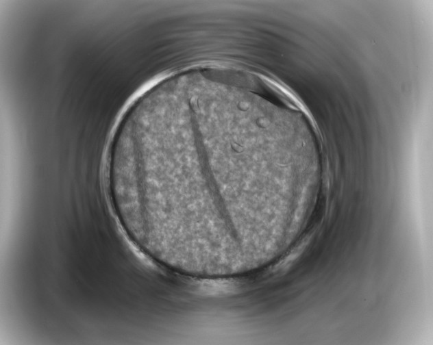 X0000085761053200704091331