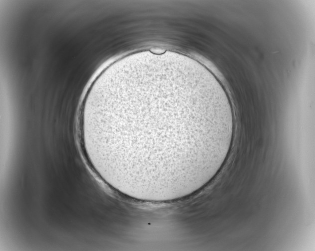 X0000085761056200704091331