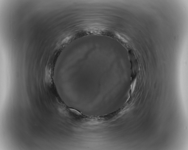 X0000085761060200704091330