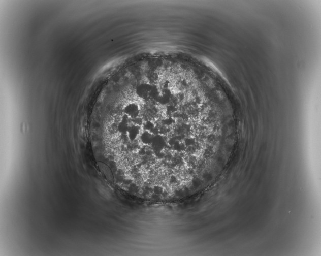 X0000085761063200704091330