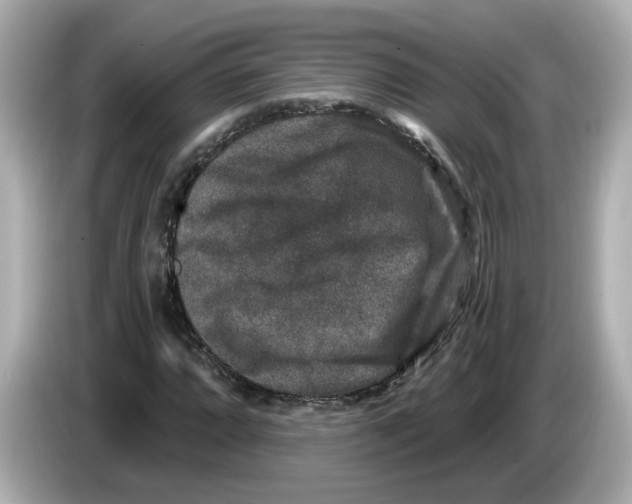 X0000085761064200704091330