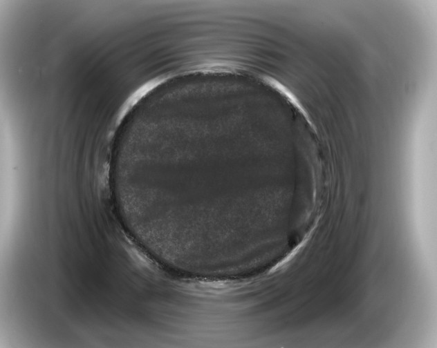X0000085761066200704091330