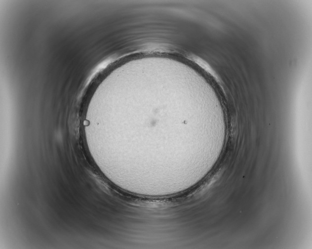 X0000085761067200704091330
