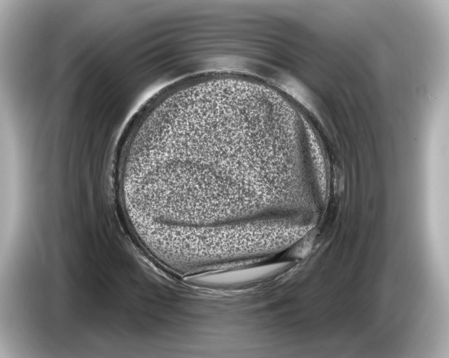 X0000085761068200704091330