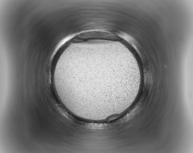 X0000085761069200704091330